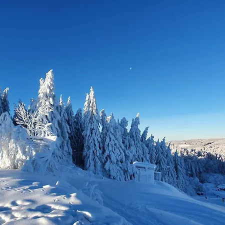 Appartement Haus Schneider Winterberg