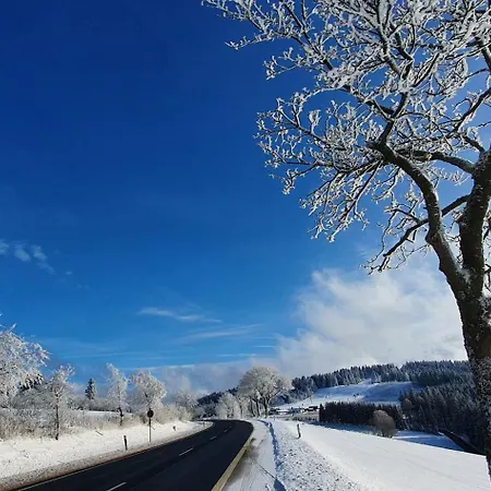 Haus Schneider Winterberg