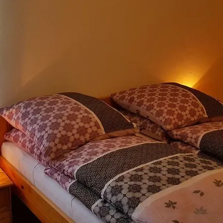 Haus Schneider شقة وينتربرغ