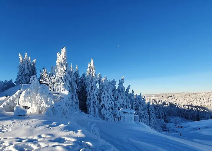 Apartamento Haus Schneider Winterberg