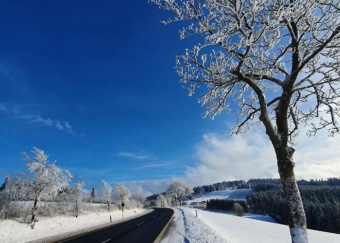 Haus Schneider 温特贝格